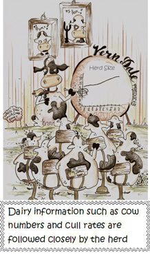 Image - Dairy Markets